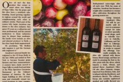 Anzalones