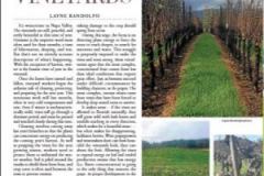 Winter-in-the-Vineyards-Inside-Napa-Valley