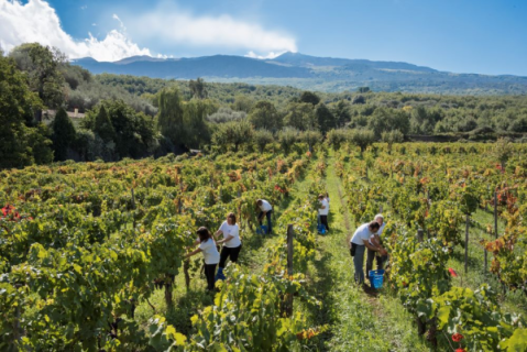 ETNA-Estate-ph-Fabio-Gambina-online