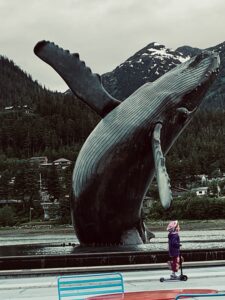 Juneau Alaska Whale
