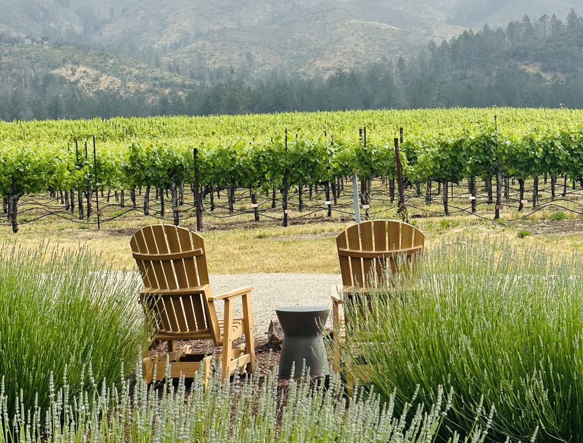 THE BIRTHPLACE OF CALIFORNIA WINE COUNTRY WINE TRAVEL