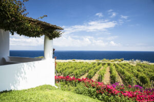 Tasca D'Almerita's Capofaro on Salina Island in the Aeolian Islands. PC: Tasca D'Almerita