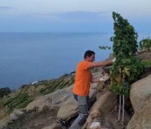 HEROIC VINEYARDS | THE WORLD’S MOST CHALLENGING VINEYARDS