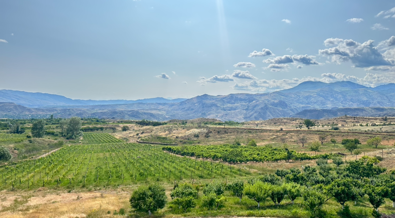 Armenia wine